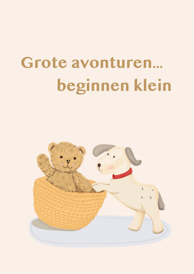 Kaart optie 4