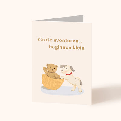 Kaart preview