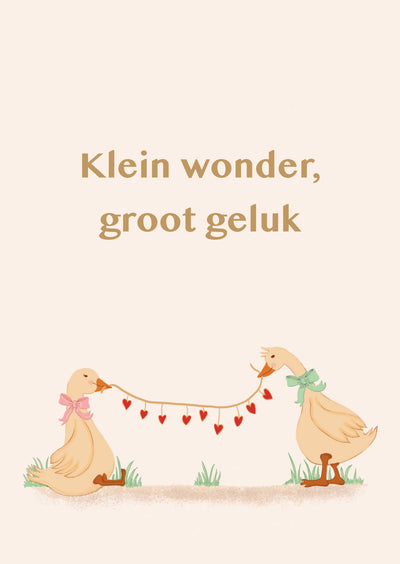 Kaart optie 2