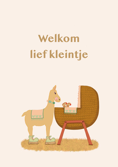 Kaart optie 1